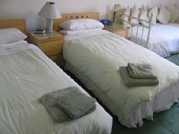 The Adelphi Bed & Breakfast Newcastle-upon-Tyne Exteriör bild